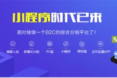 带有小程序端的多用户商城系统好用吗