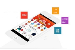 刚起步的分销商城系统怎样提速推广获客