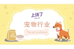 宠物店如何从零打造一款优质小程序？